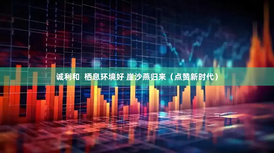 诚利和  栖息环境好 崖沙燕归来（点赞新时代）