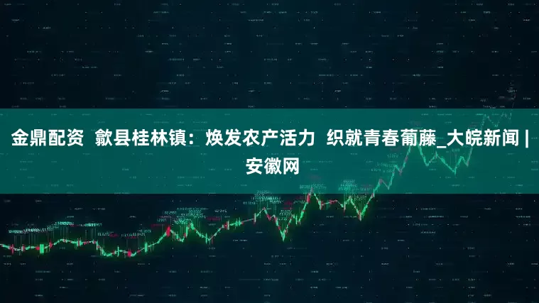 金鼎配资  歙县桂林镇：焕发农产活力  织就青春葡藤_大皖新闻 | 安徽网